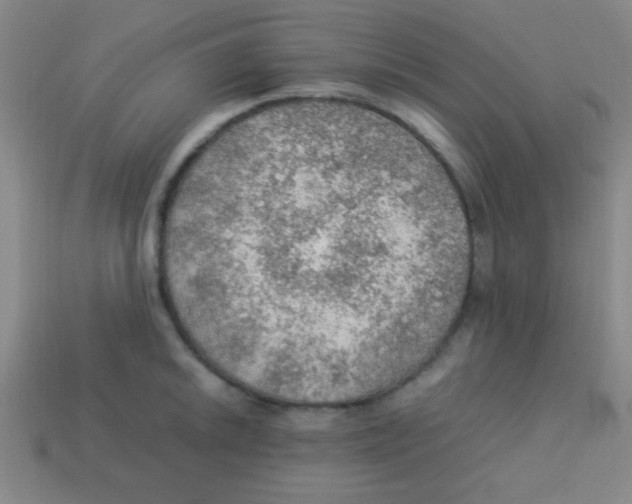 X0000113781046200910211201