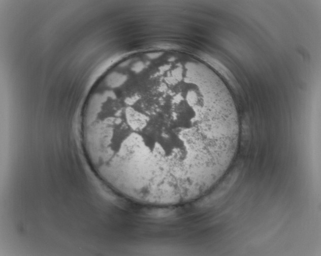 X0000113781047200910211201