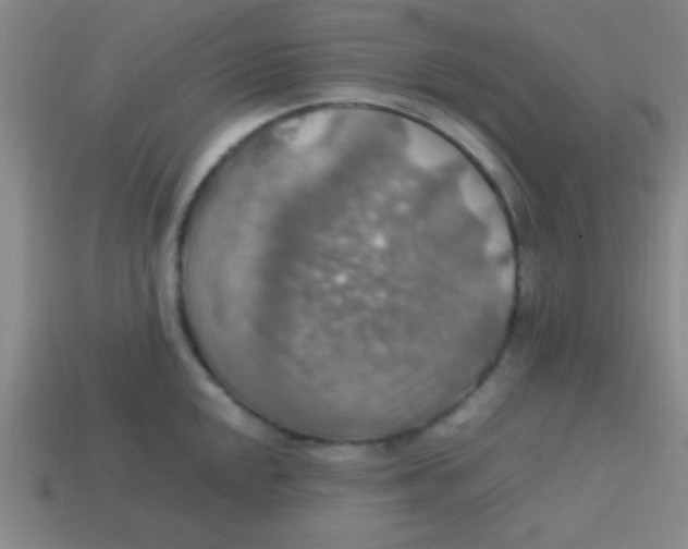 X0000113781048200910211201