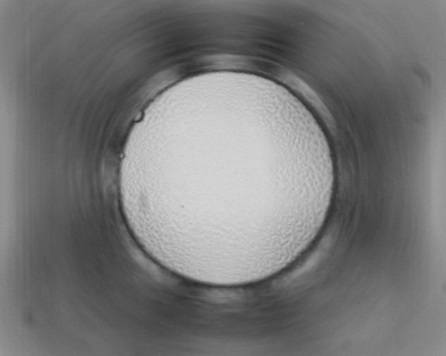 X0000113781049200910211201