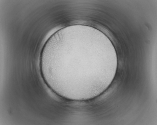 X0000113781050200910211201