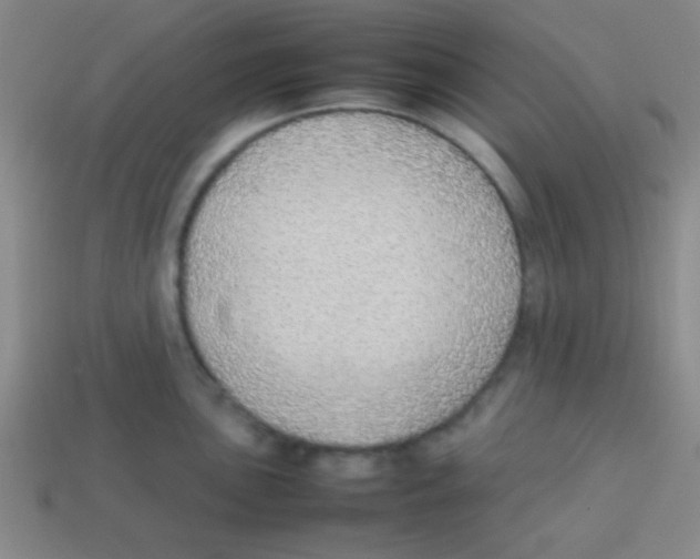 X0000113781051200910211201