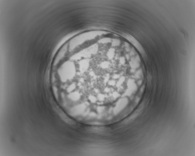 X0000113781052200910211201