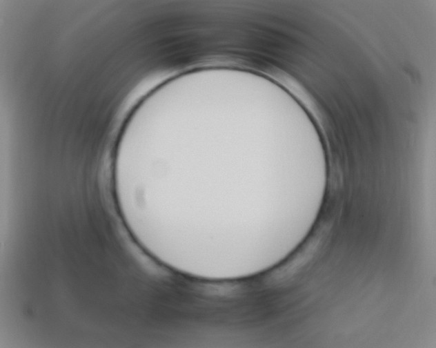 X0000113781053200910211201