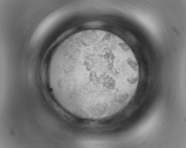 X0000113781054200910211201