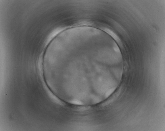 X0000113781055200910211201