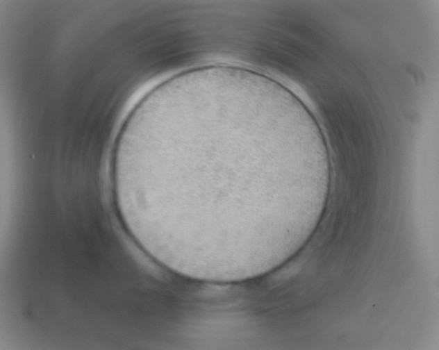 X0000113781056200910211201