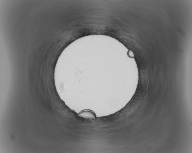 X0000113781057200910211201