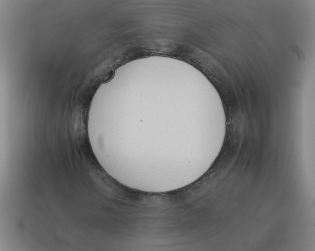 X0000113781058200910211201