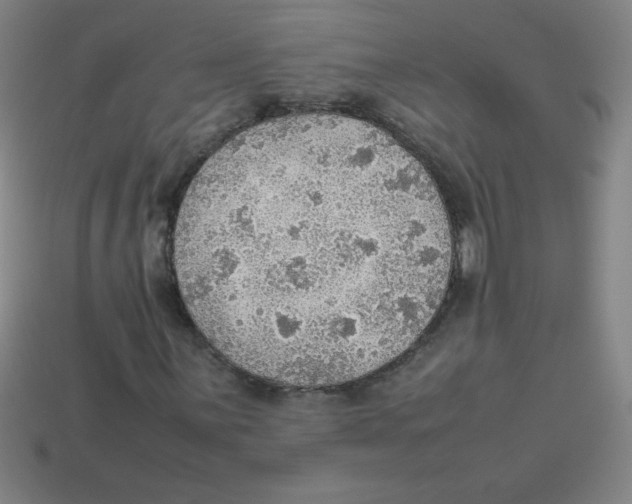 X0000113781059200910211201