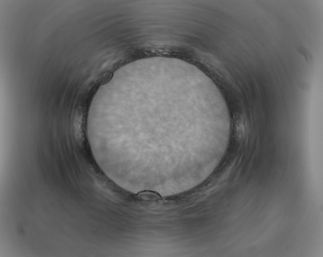 X0000113781060200910211201