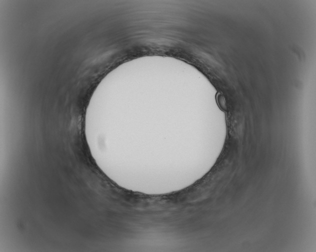 X0000113781061200910211201