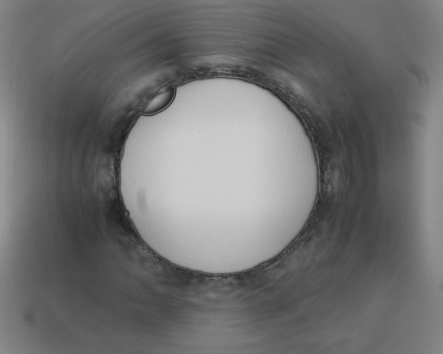 X0000113781062200910211201