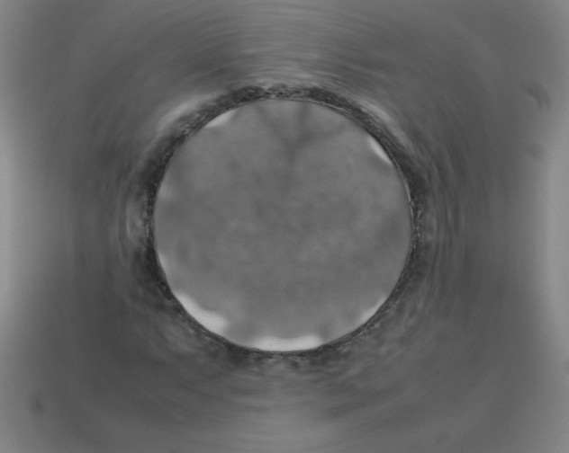 X0000113781063200910211200