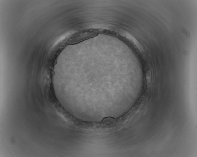 X0000113781064200910211200