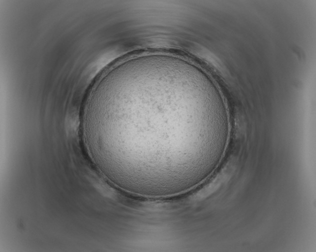 X0000113781065200910211200