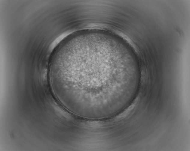 X0000113781066200910211200