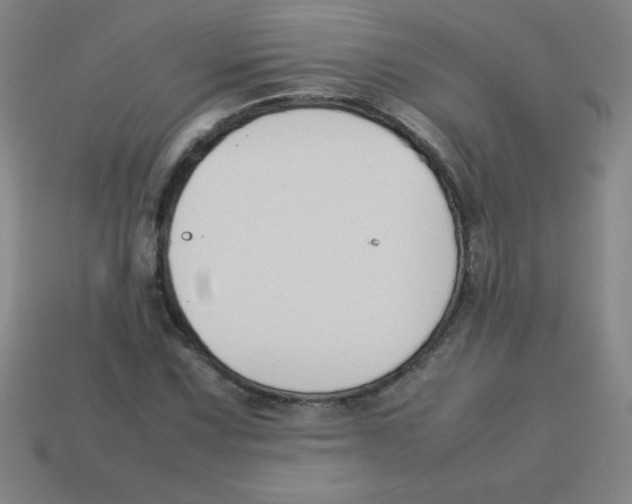 X0000113781067200910211200