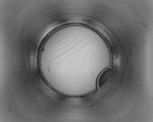 X0000113781068200910211200