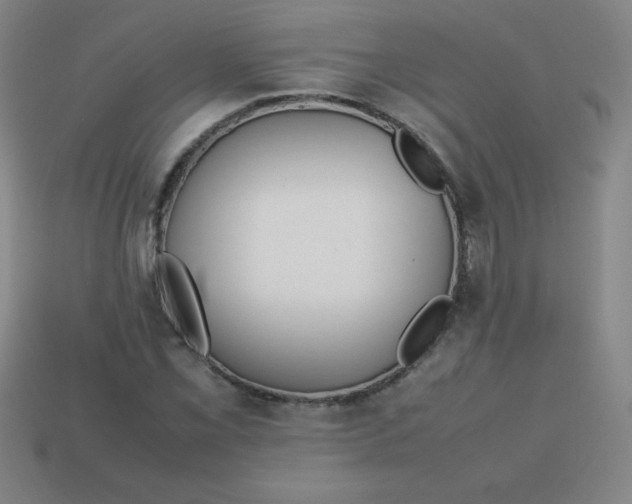 X0000113781069200910211200