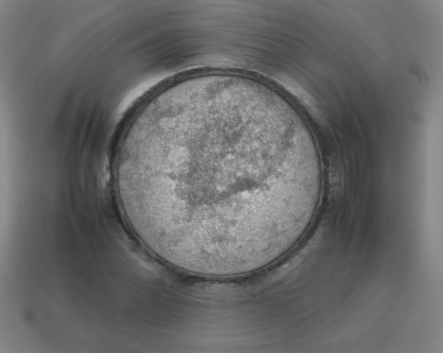 X0000113781070200910211200