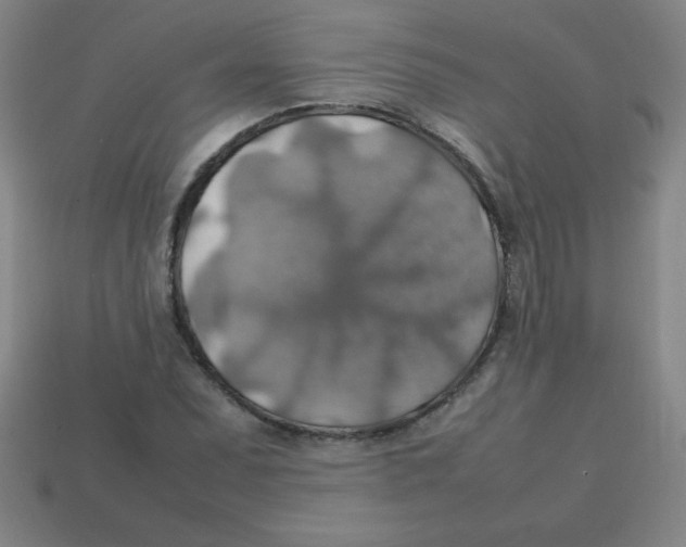 X0000113781071200910211200