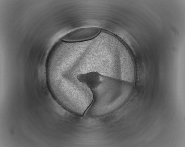 X0000113781072200910211200