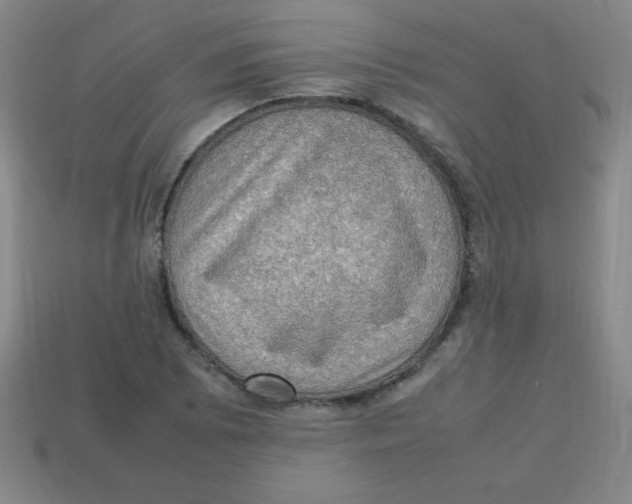 X0000113781073200910211200