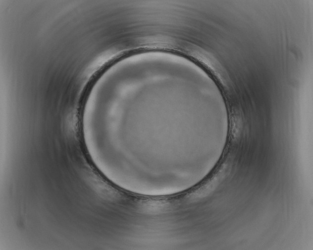 X0000113781074200910211200