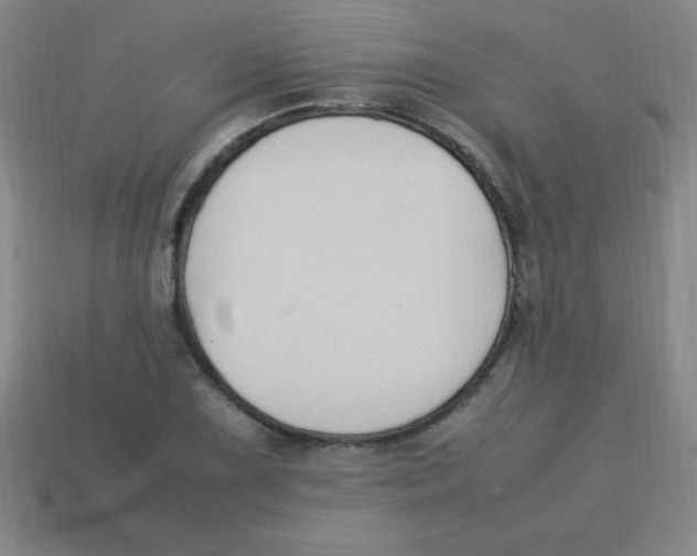 X0000113781075200910211200