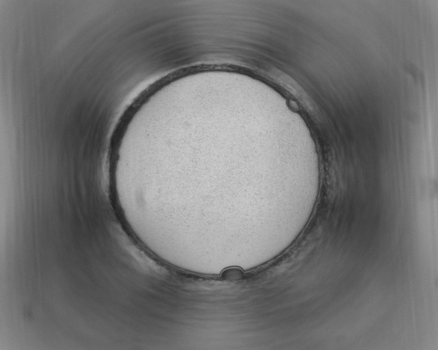 X0000113781076200910211200