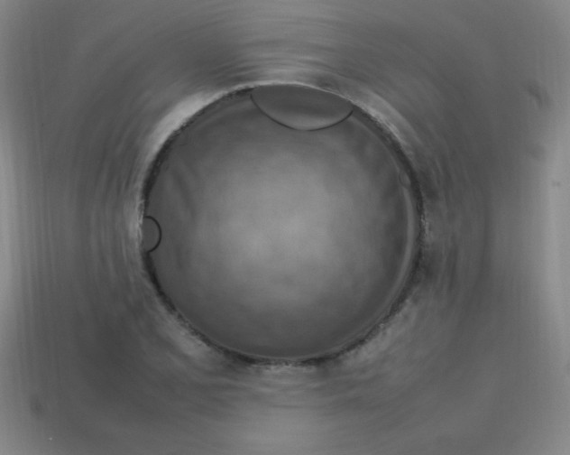 X0000113781077200910211200