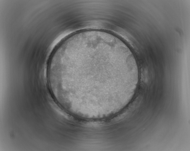 X0000113781078200910211200