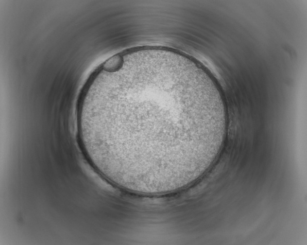 X0000113781080200910211200