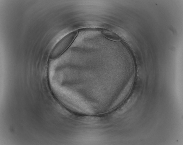 X0000113781081200910211200