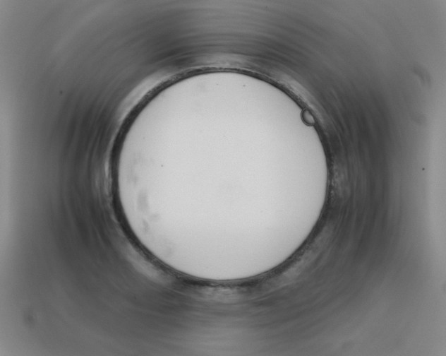 X0000113781082200910211200