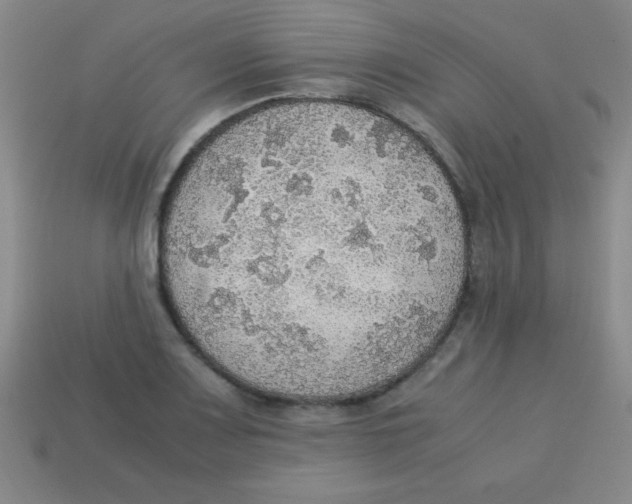 X0000113781083200910211200