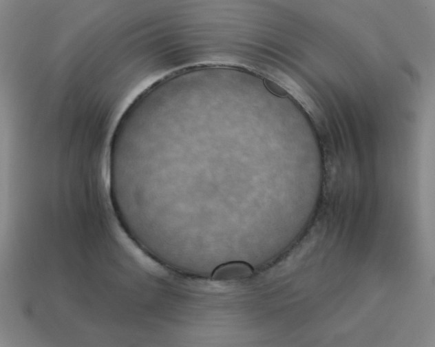 X0000113781084200910211200