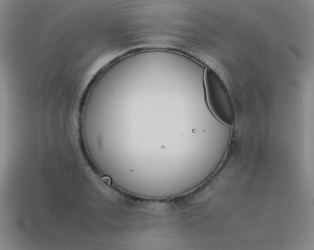 X0000113781085200910211200