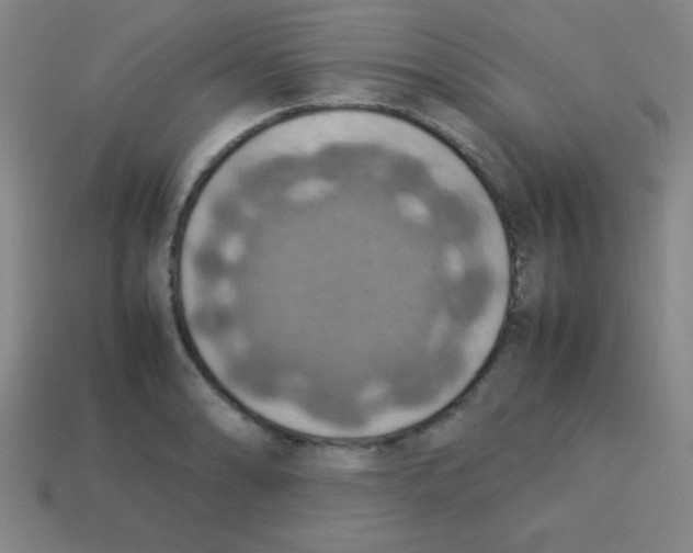 X0000113781086200910211200