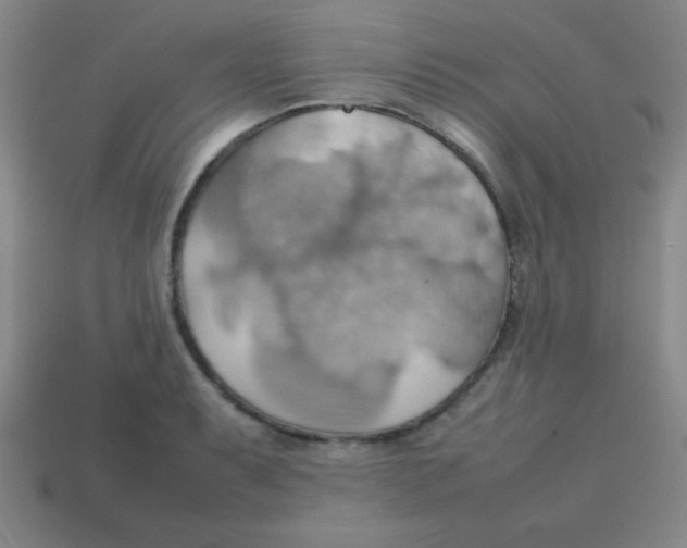 X0000113781087200910211200