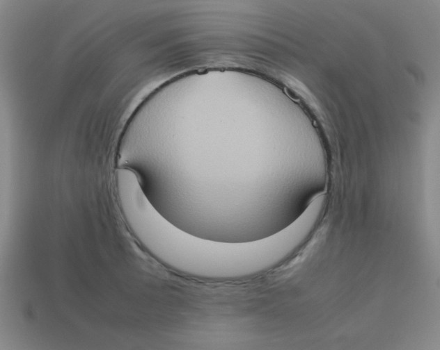 X0000113781089200910211200