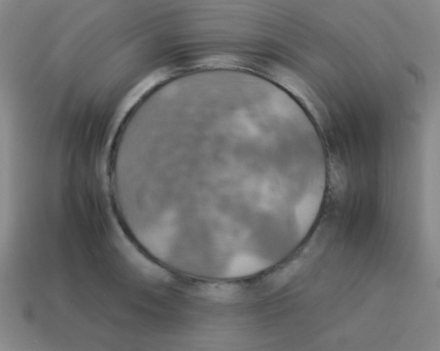 X0000113781090200910211200