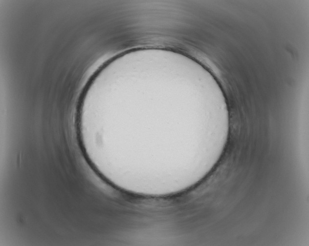 X0000113781091200910211200