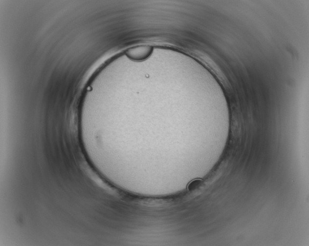 X0000113781092200910211200