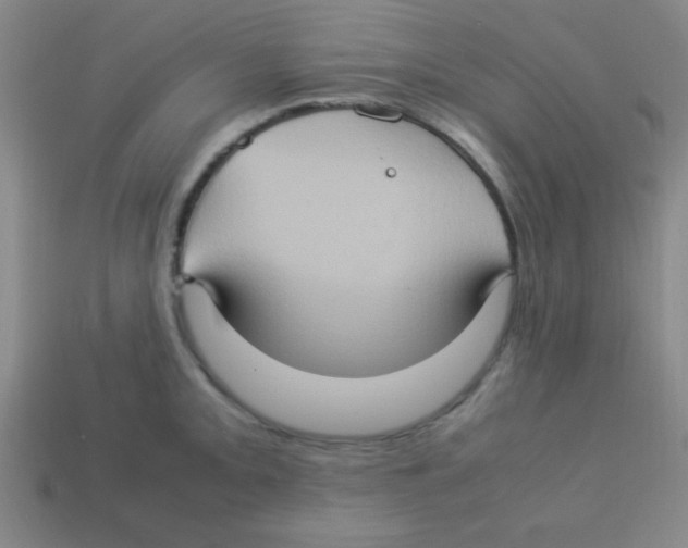 X0000113781093200910211200