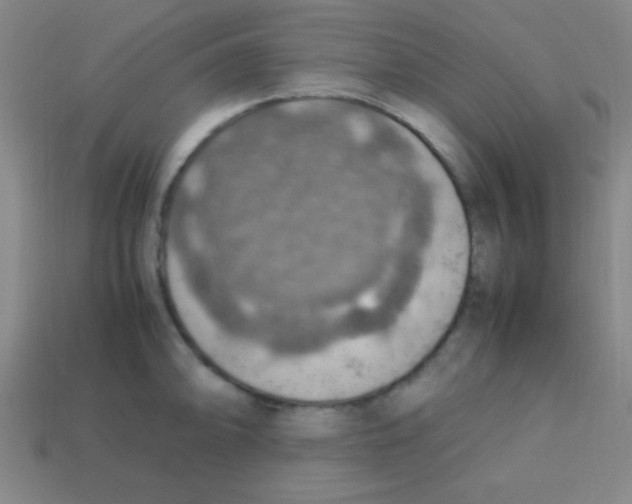 X0000113781094200910211200