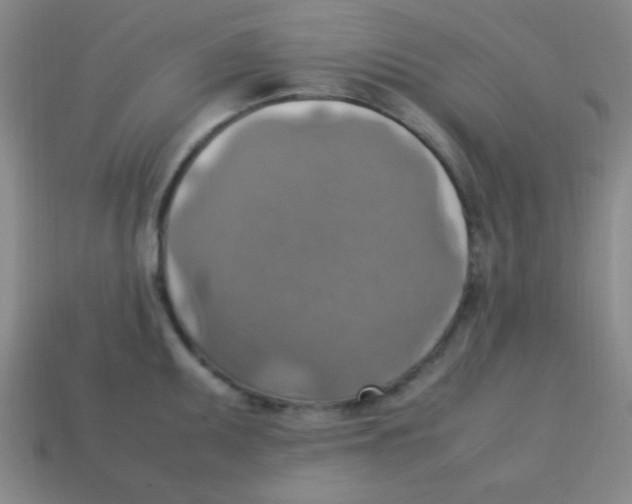 X0000113781095200910211200