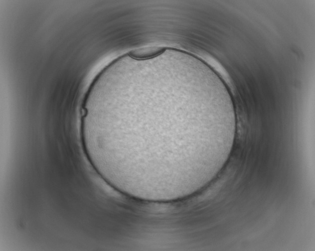 X0000113781096200910211200