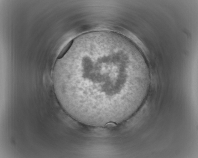 X0000113781097200910211200